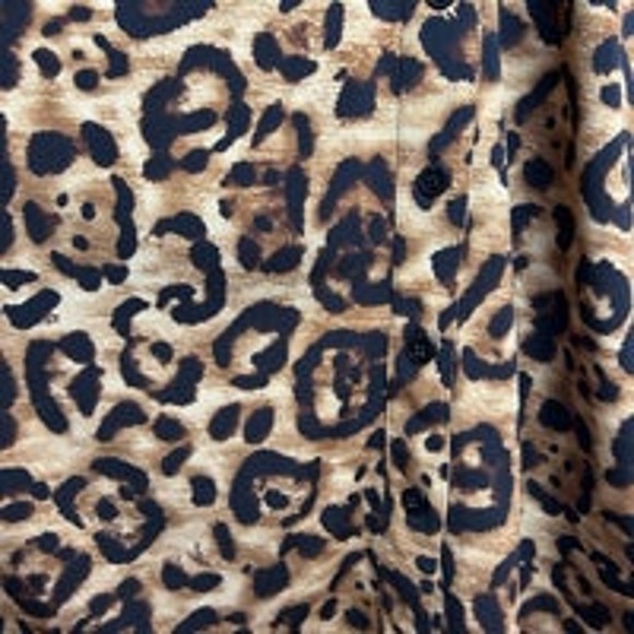 INC International Concepts Cheetah Business Dress Button Down in Front Sz Small - Picture 4 of 9